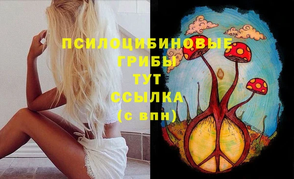 марки nbome Вяземский