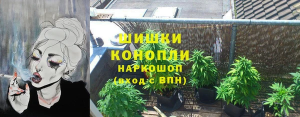 ECSTASY Вязьма