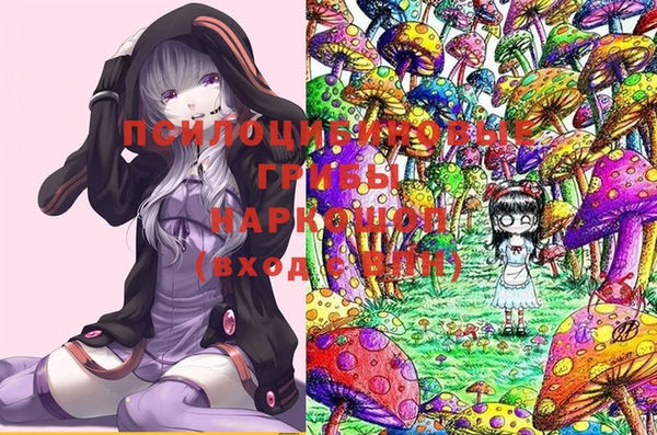 марки nbome Вяземский