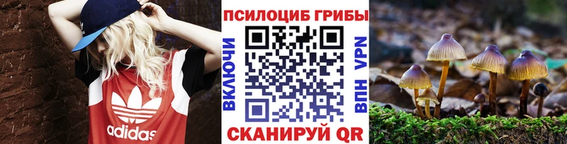закладки  Красноуральск  Псилоцибиновые грибы Psilocybine cubensis 